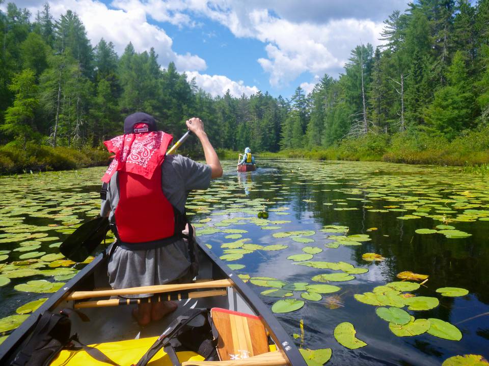 Adirondack Canoeing Adult