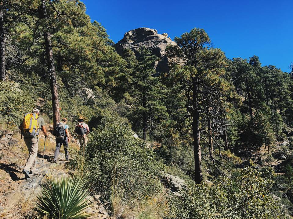 Hiking in the southwest top