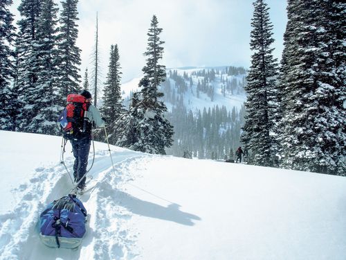 Students backcountry ski with gear sleds by tall snow laden trees while it snows in the Idaho backcountry.
