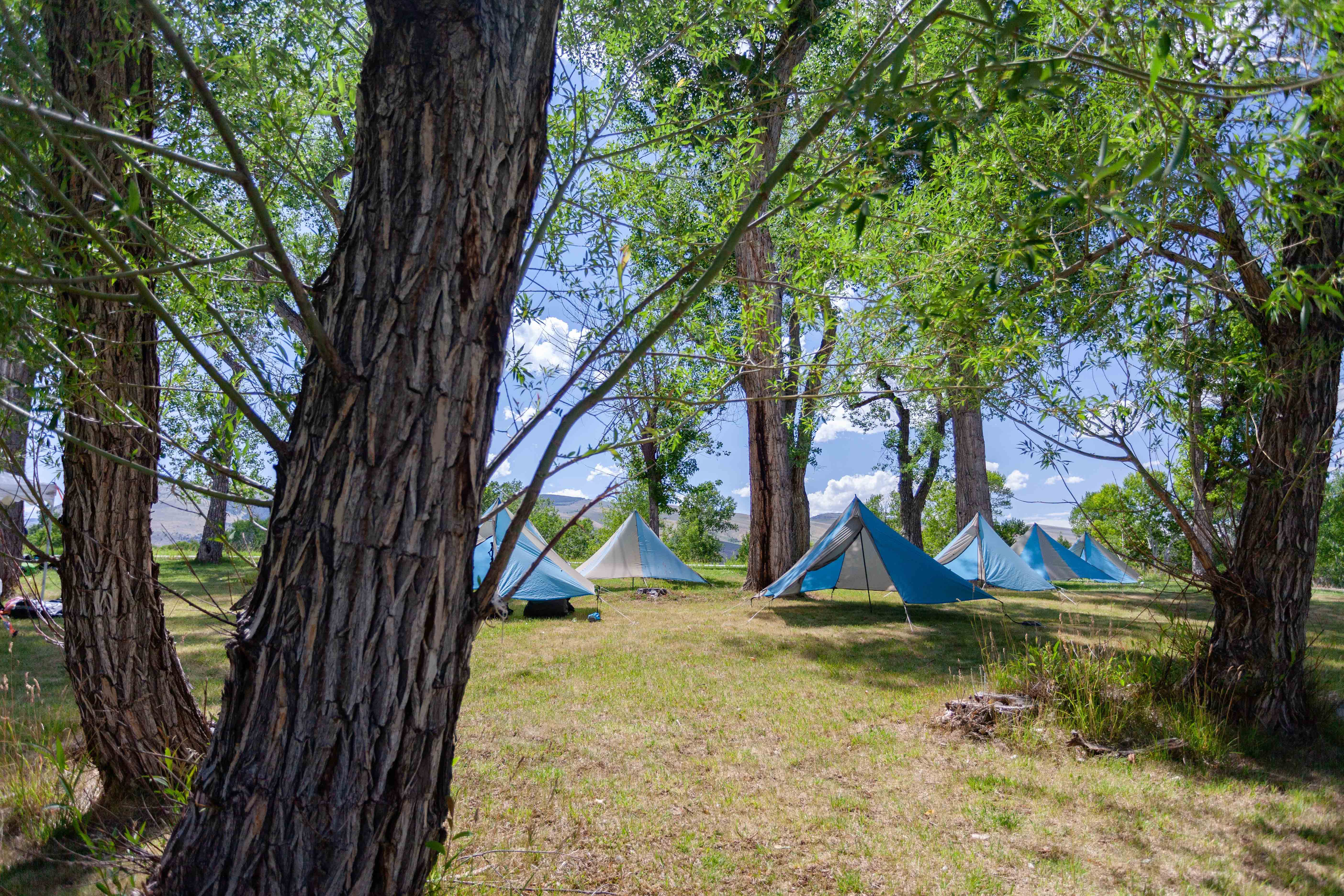 A group of megamid tents raised up extra high to provide extra ventilation.