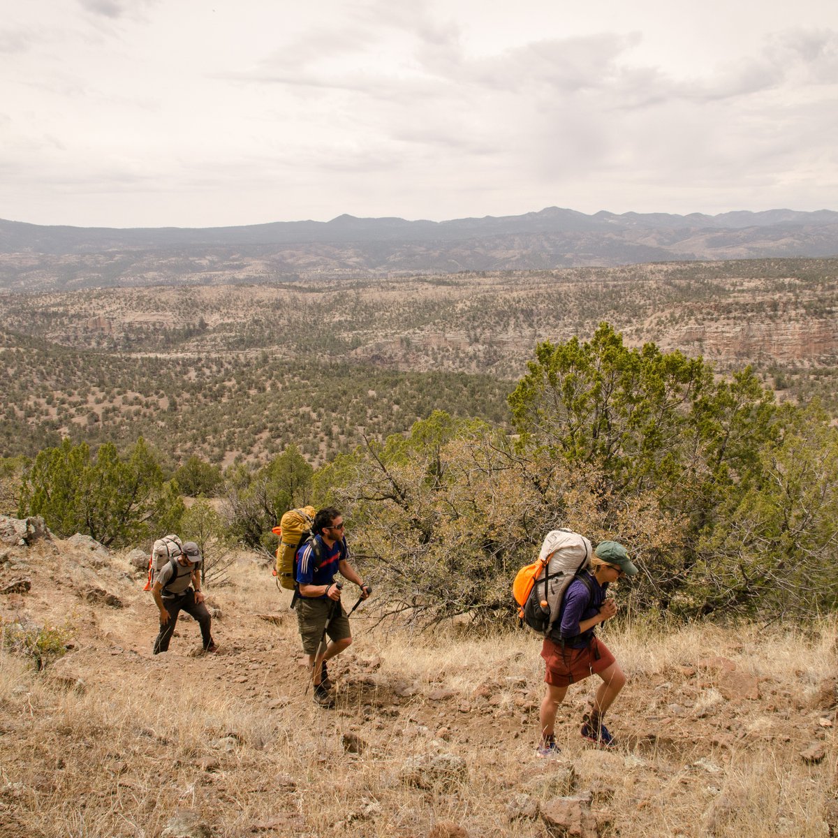 Southwest Lightweight Backpacking - JareD Steinman Sw 047.jpg  1200x1200 Q85 Crop Subsampling 2 Upscale