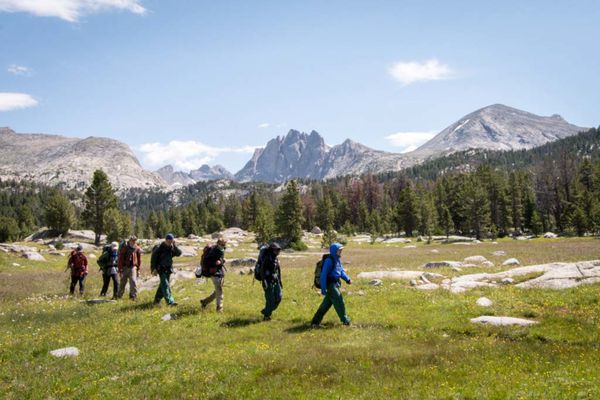 Group of backpackers hike across a grassy meadow with pines and rocky peaks in the background.