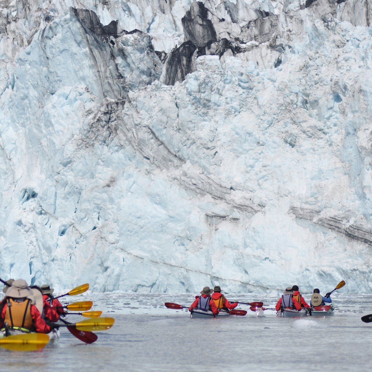 NOLS - Tracy Baynes Ak Dsc 0236 C.jpg  1200x1200 Q85 Crop Subsampling 2 Upscale