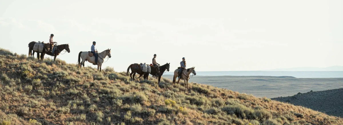 Horsepacking