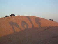 NOLS