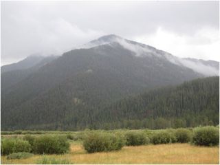 WY range