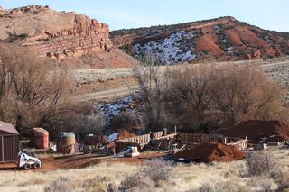 IMG_8770
