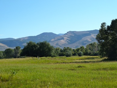 Mountains