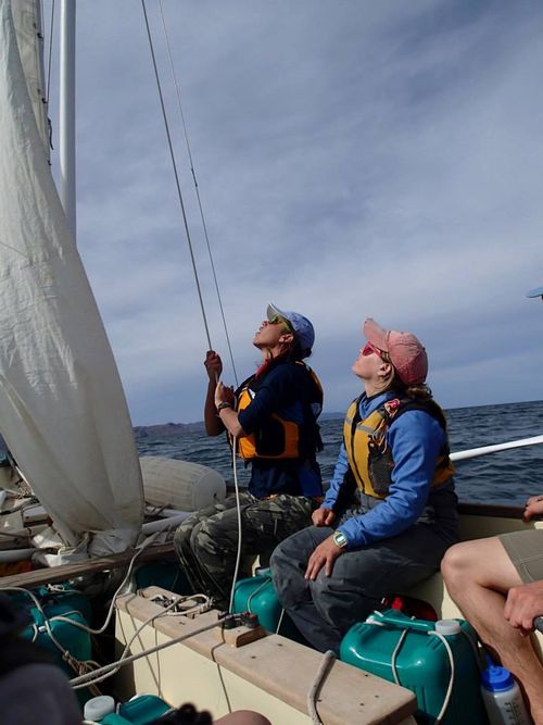 Sail