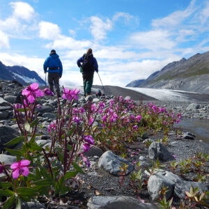 two adults walking away with beautiful flowers and water in the foreground