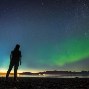 Person silhouetted looking up at the dark sky with green northern lights