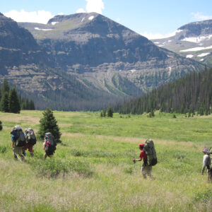 5 young adults backpacking through tall grass with blue slightly snowy mountains off further in the distance.