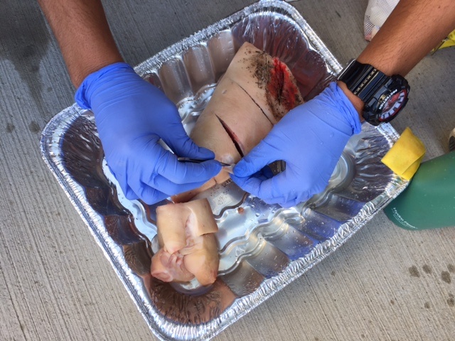 noaa-pig-cleaning-class-wmi