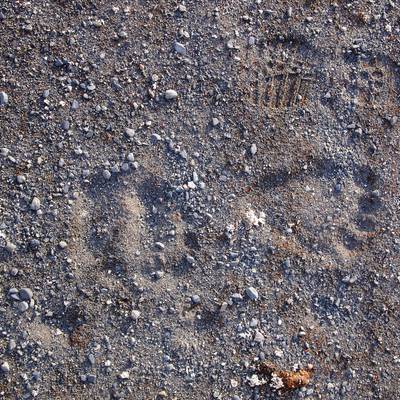 aak_-_alumni_web_-_bear_printmaija-pukkila__400x400_q70_crop_subsampling-2_upscale.jpg NOLS