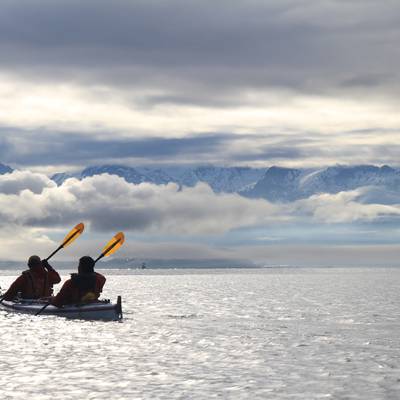 aak_-_alumni_web_-_steely_paddle__400x400_q70_crop_subsampling-2_upscale.jpg NOLS