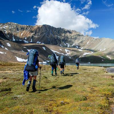 betsy_winston_ak_005__400x400_q70_crop_subject_location-9031328_subsampling-2_upscale.jpg Betsy Winston