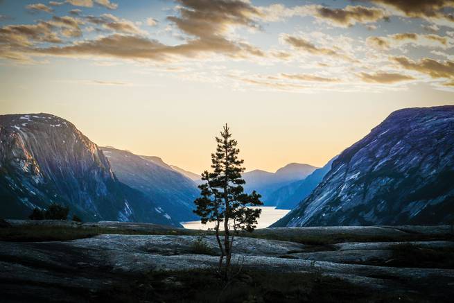 oscar_manguy_sca-5-edit.jpg__655x5000_q70_subject_location-2993,1995_subsampling-2 A lone pine tree sits perfectly before a mountain lake during a sunset.
