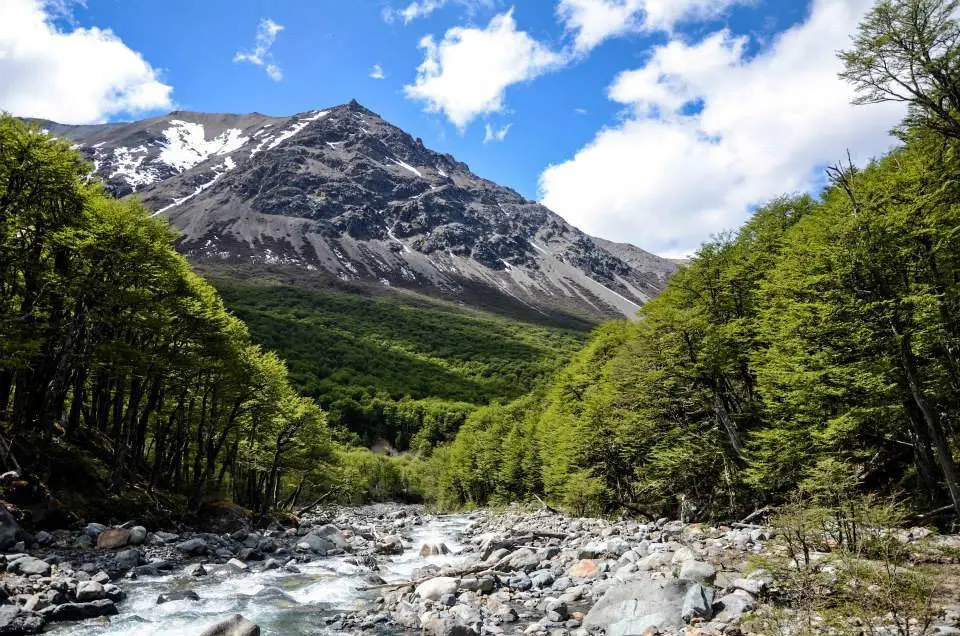 hailey-arnold-pat-6-web.jpg__1310x5000_q70_subject_location-480,320_subsampling-2 Kailey Arnold