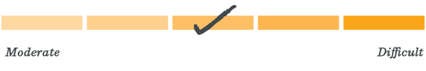 Level 3