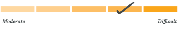 Level 4