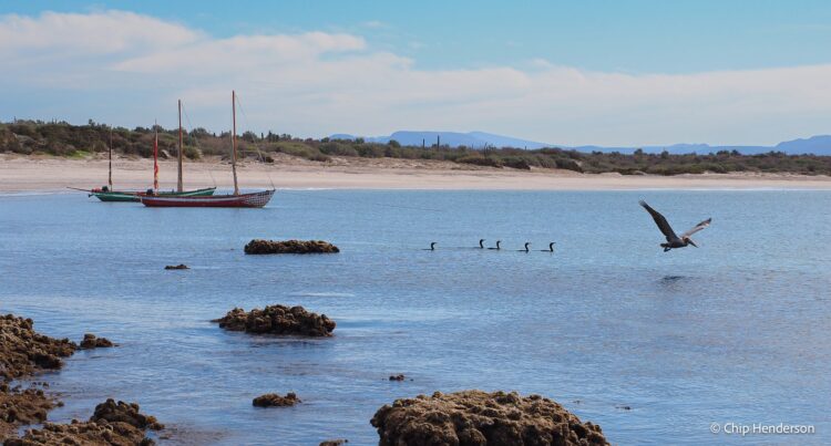 Photo Credit: Chip Henderson