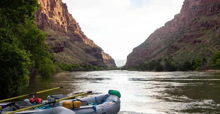 Photo by David Morgan