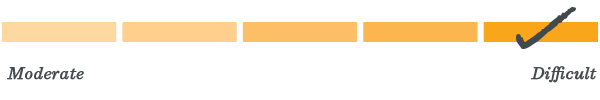 Level 5
