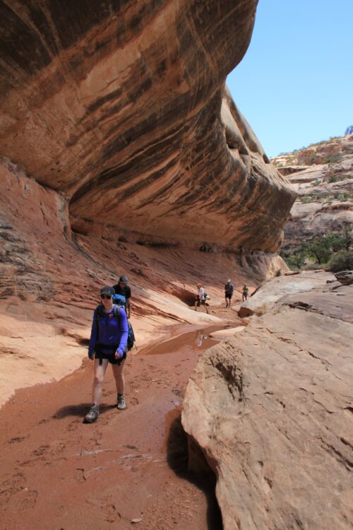 Photo credit: NOLS Archive