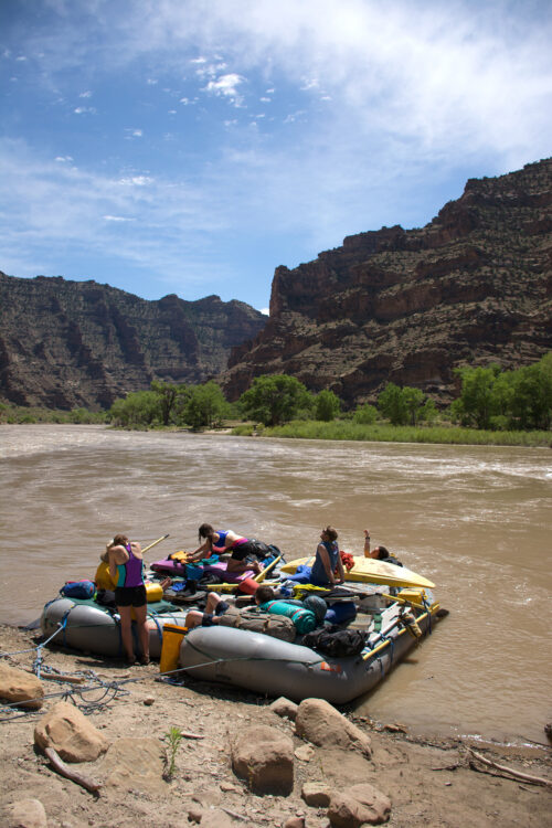 Photo by Scott Eubank