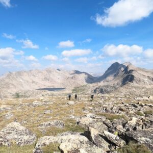 Photo by Steph Taylor