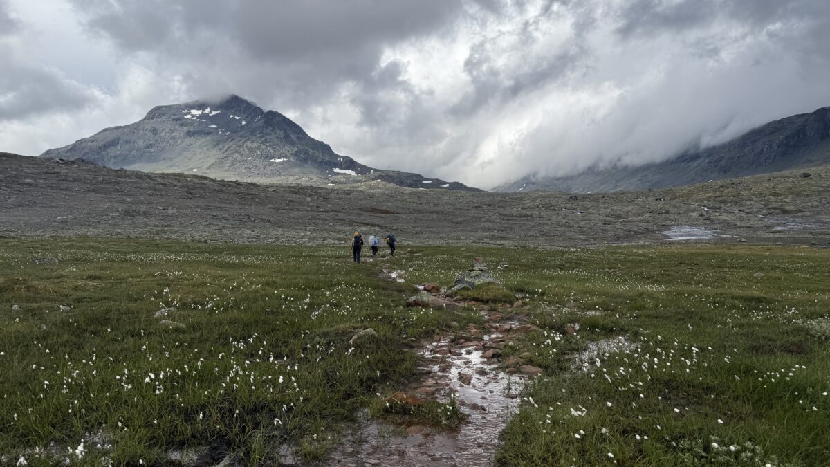 Three hikers walk on grass, covered with white flowerd and streams. Mountains and grey clouds in background.