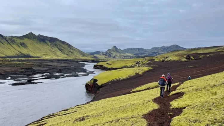 Hiking Iceland’s Volcanic Trails – Alumni