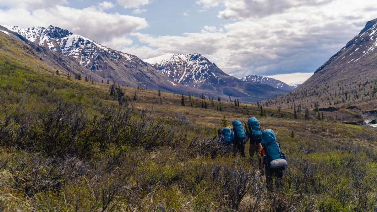 In the background is a series of mountains with snow on them. In the foreground is a group of adults with large backpacks hiking through low bushes.