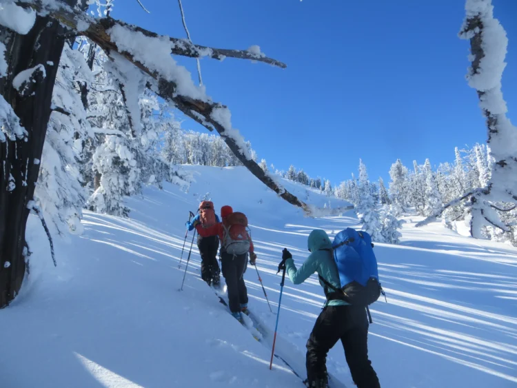Three people in winter clothing ascend a snowy hill