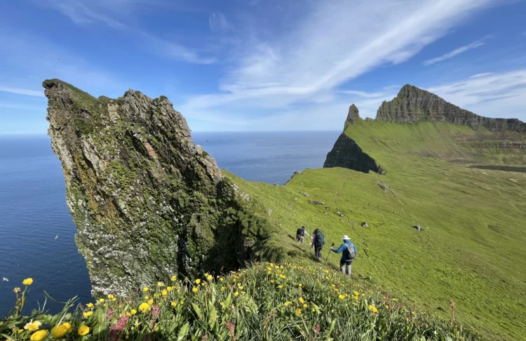 Sharp cliffs drop into the ocean and are carpeted on the flat side in grass.