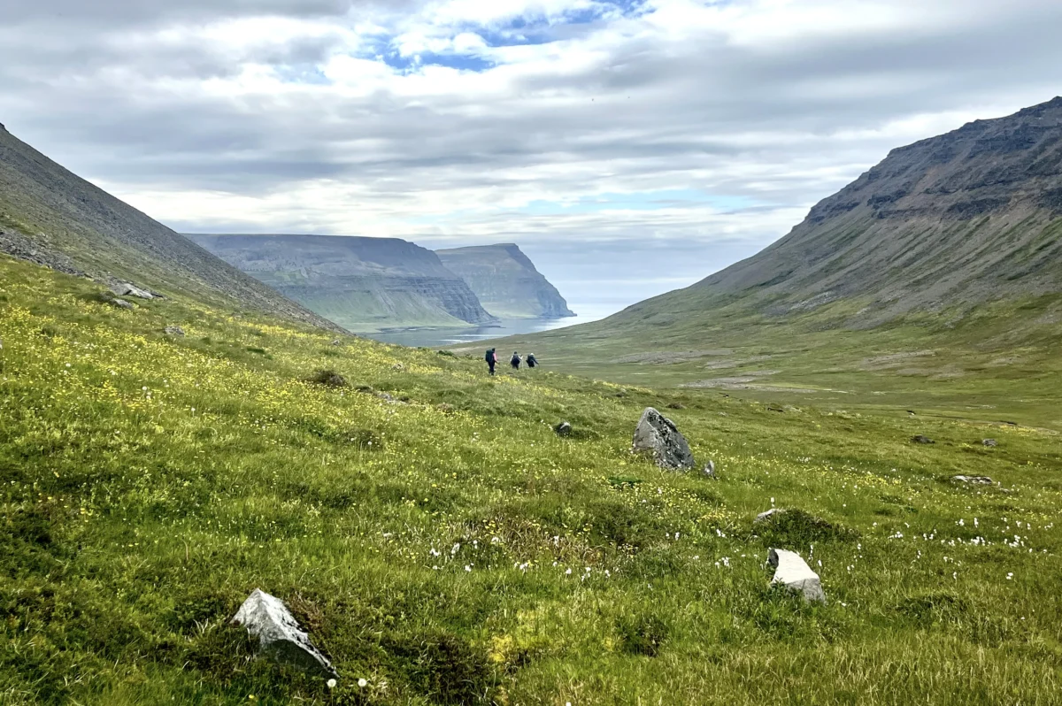 a grassy field between two mountains. there is ocean in the background