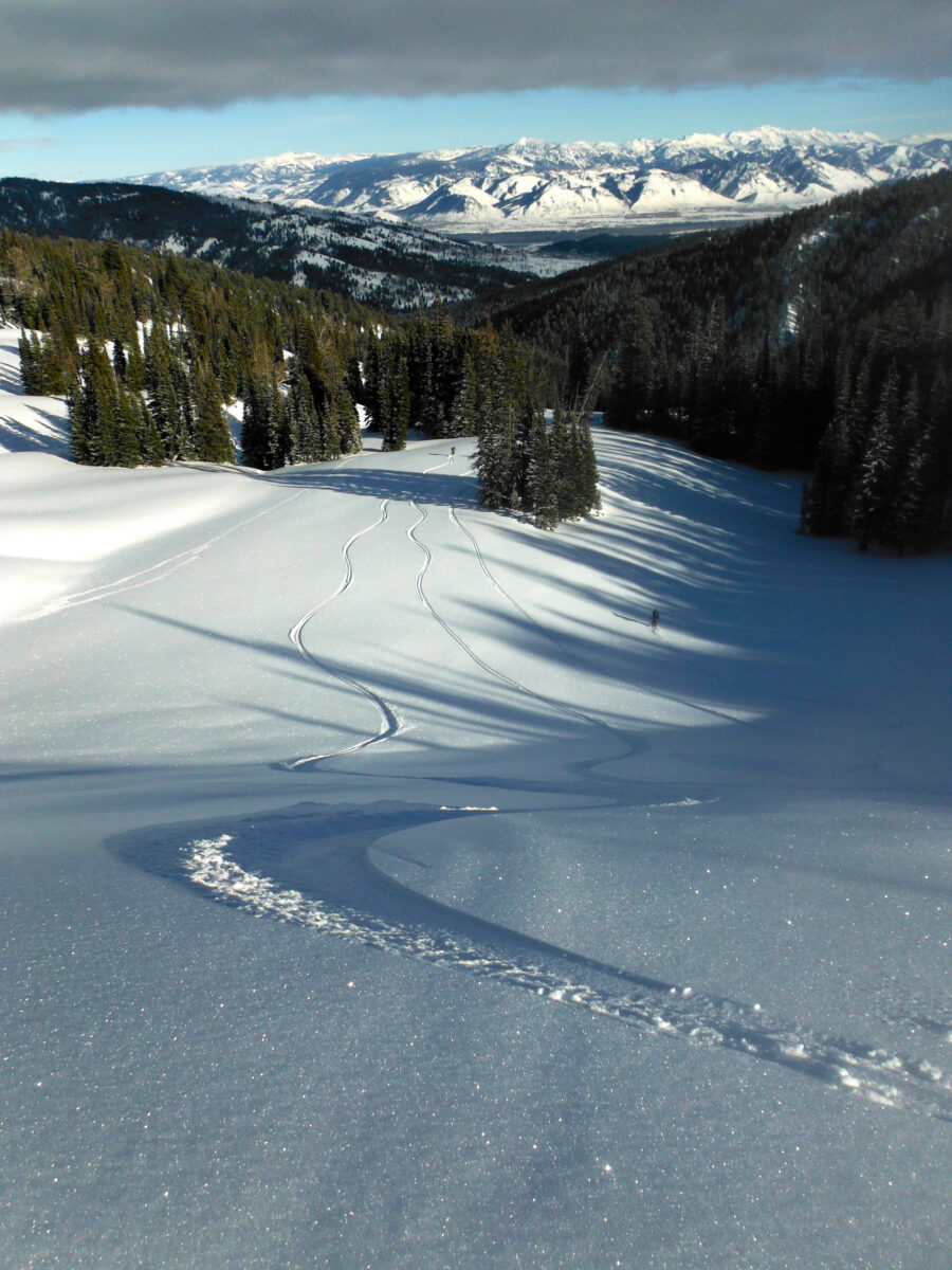 Ski tracks are visable in the snow as we look down a pine-covered mountain. Mountains and blue skies are in the background