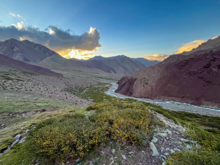 The sun sets behind a mountain in the distance with a fiver and bushes in the foreground.