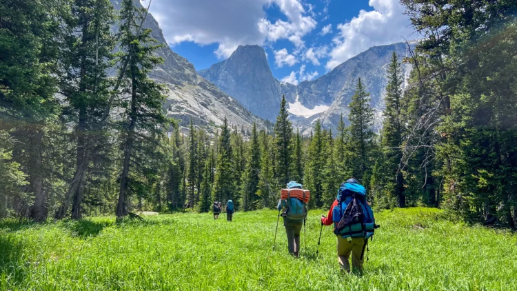 two people wearing large backpacking backpacks hike through a green field bordered by evergreen trees. there are steep granite peaks in the background.