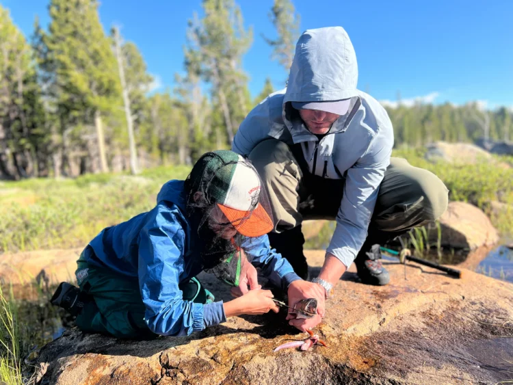 Man and boy take fish off the hook.