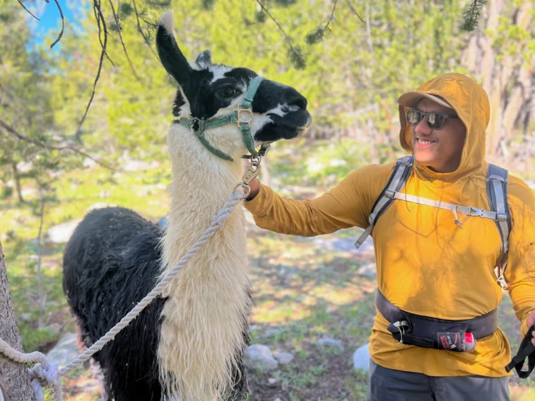 Hiker pets llama.