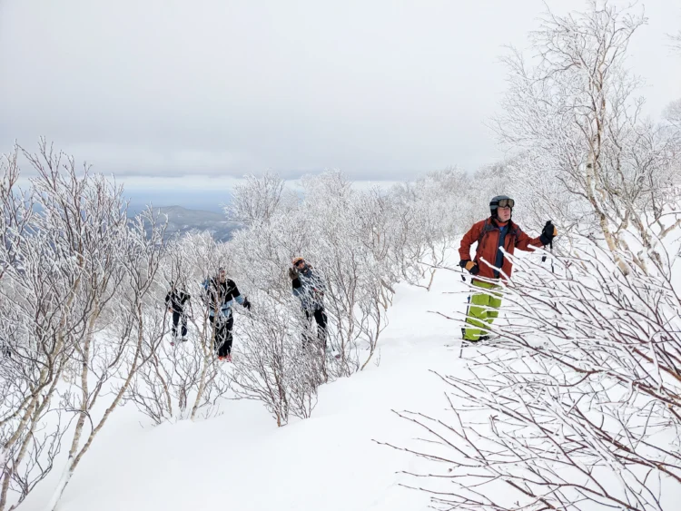 Skiers look at the route ahead of them with snow covered trees and bushes around.