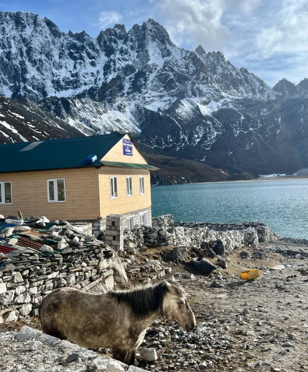 A tea house and horse next to an alpine lake