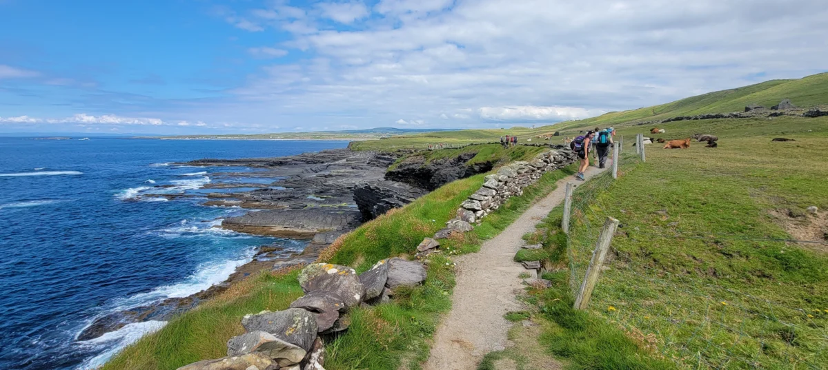 Hikers walk on a path along the coast with the sea to the left and cows in a field to the right