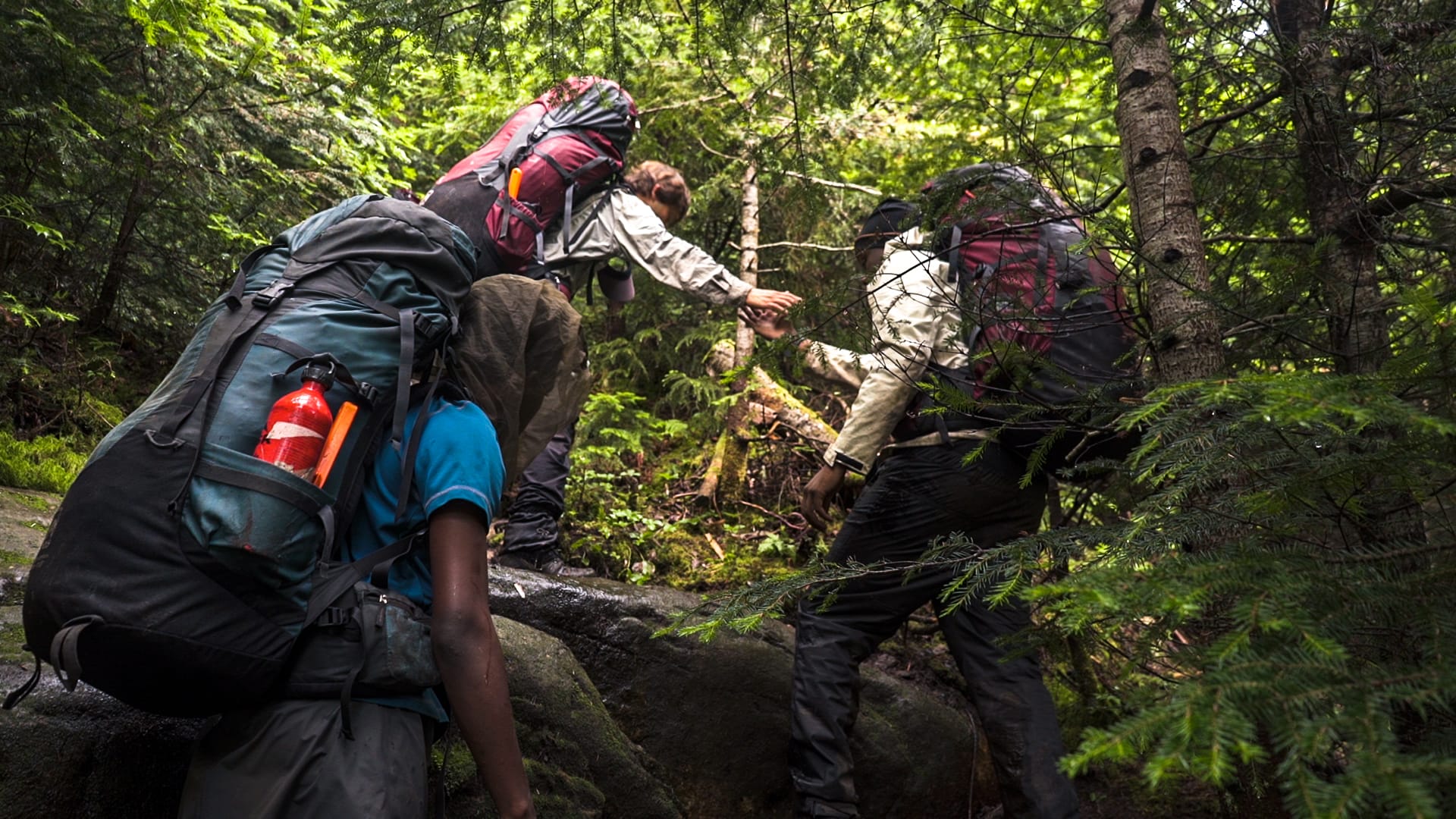 Backpacking group helping each other navigate over rocks in a dense forest on a wilderness expedition.