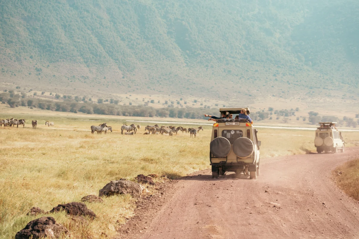 A jeep drives through a wildlife range in East Africa