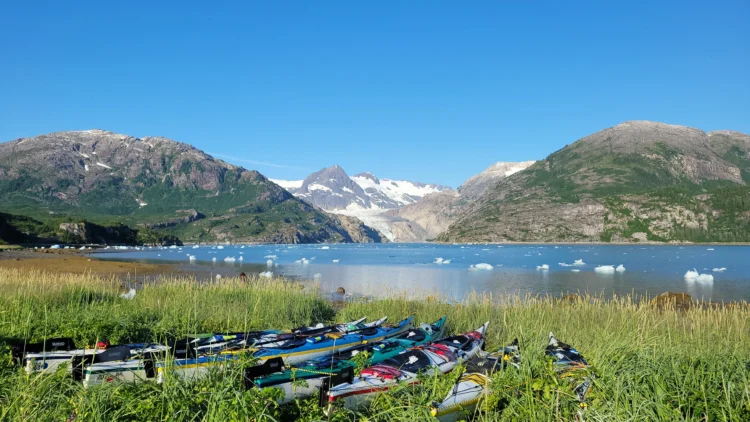Kayaks line up in the grass with the sea and mountains in the background