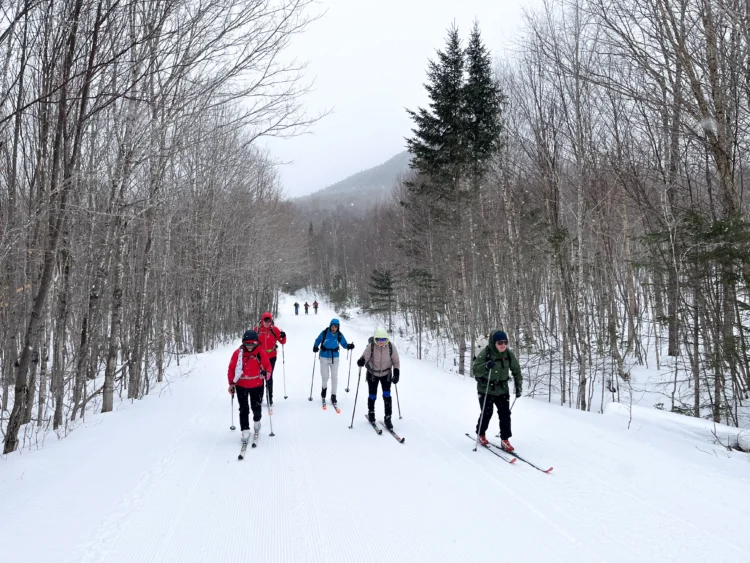 Skiers ski on the trail in Maine