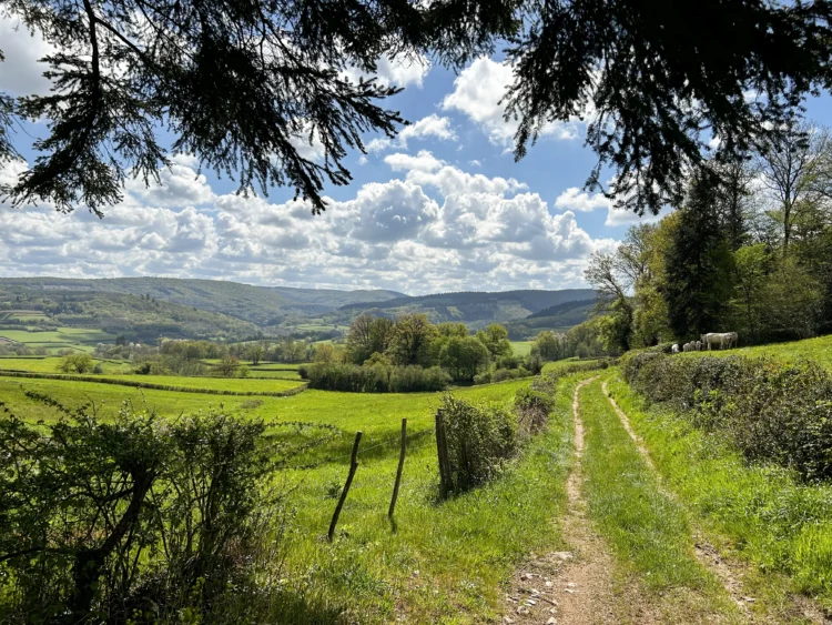 a dirt double track through a grassy field. there are rolling hills in the background