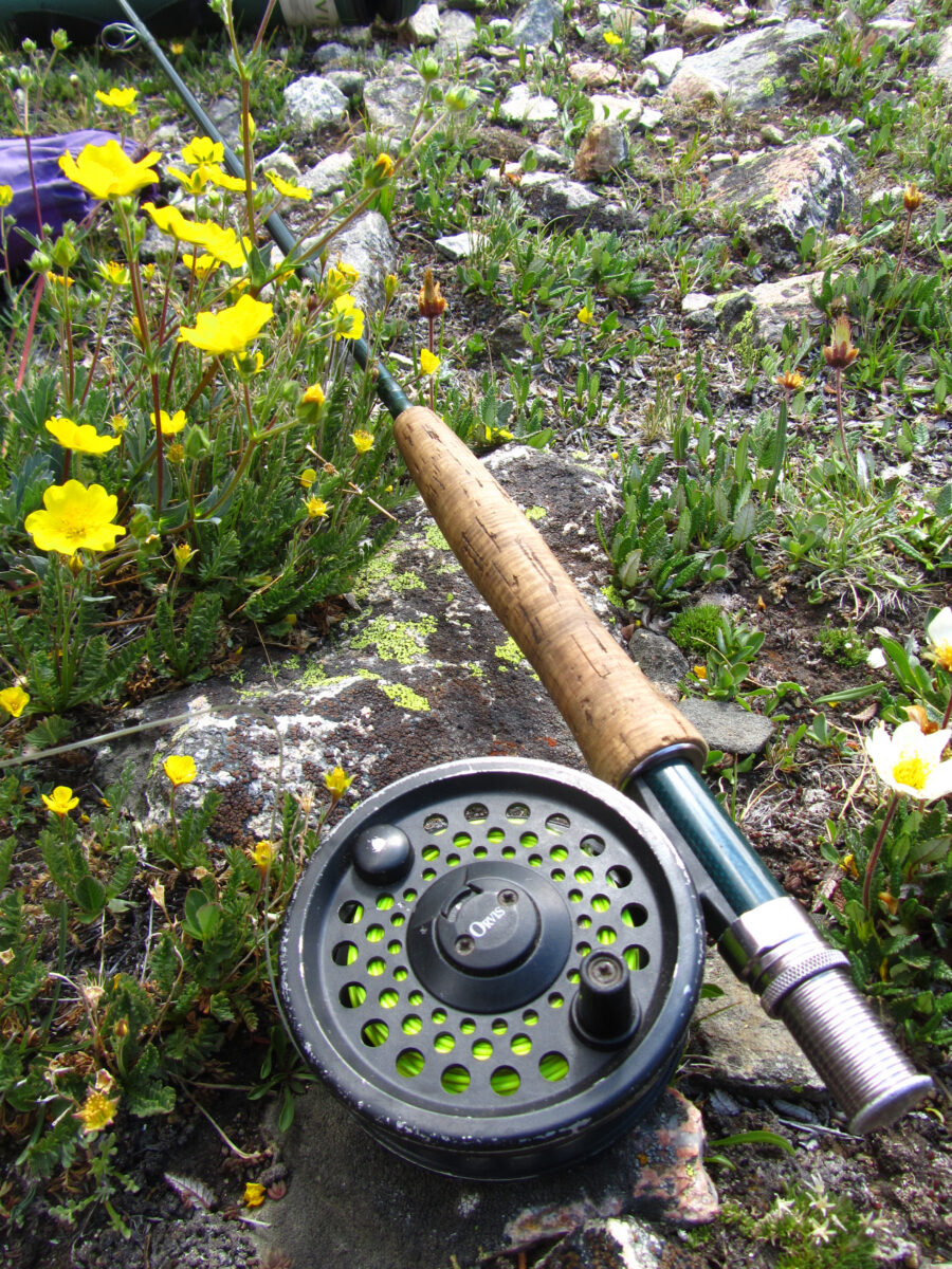 Fly rod and reel lying in a bed of rocks and flowers.